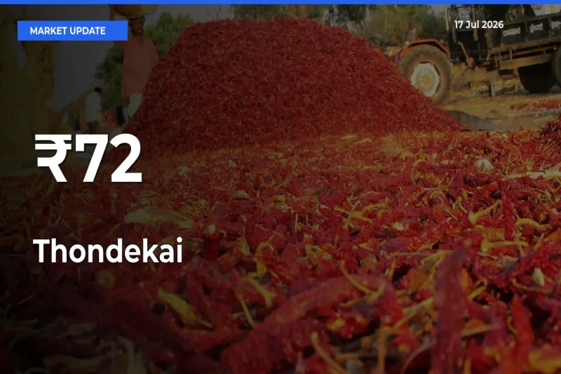 Thondekai Prices Trend Across 72+ Mandis – Market Direction Turns Clear