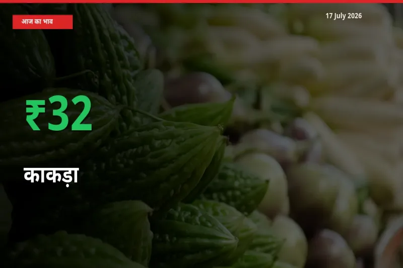 स्थानीय मंडी में काकड़ा के दाम अचानक 32.01% उछले, किसान सतर्क
