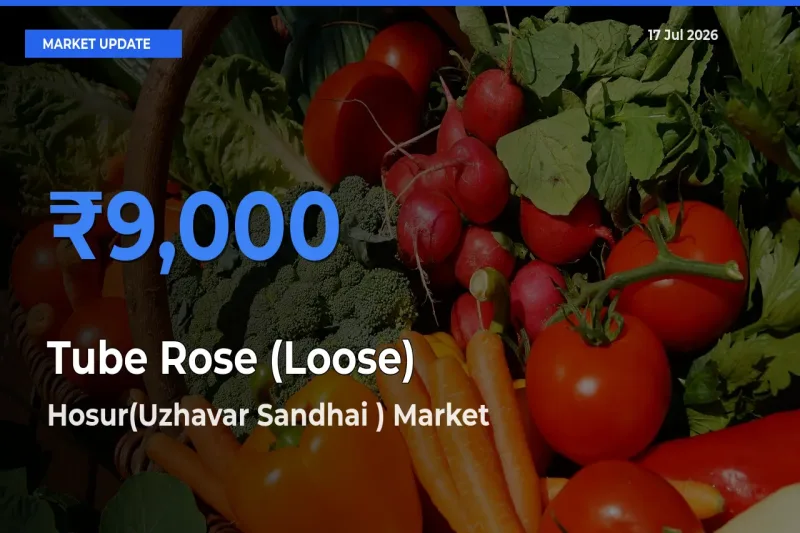 Hosur(Uzhavar Sandhai ) Offers ₹9,000 – Highest Tube Rose (Loose) Rate Today