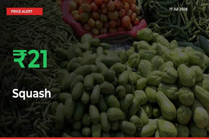 Squash Prices Rise 20.56% in a Day at Major Mandis