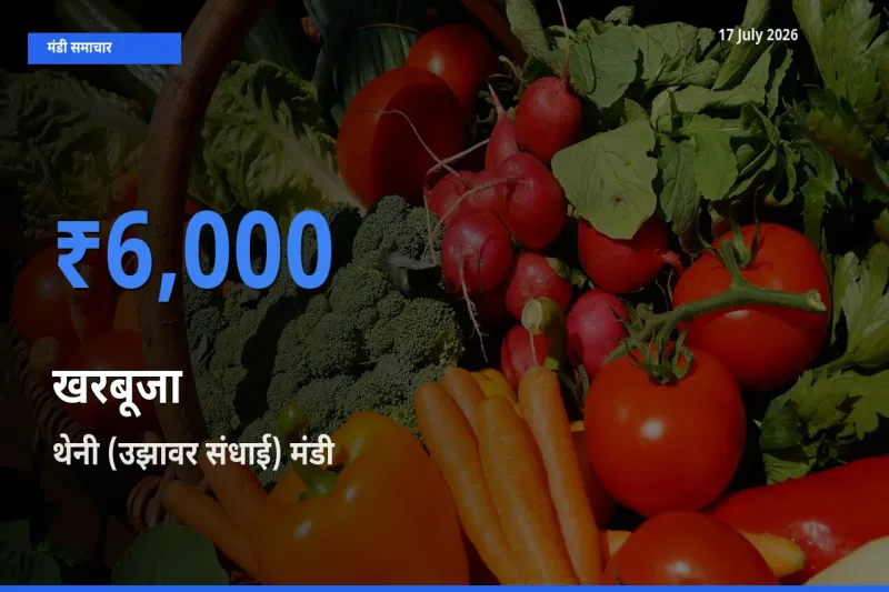 थेनी (उझावर संधाई) में खरबूजा का आज सबसे ऊँचा भाव