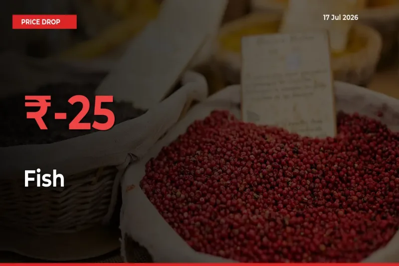 Sudden Shock! Fish Drops 25.28% in 24 Hours at Top Mandis