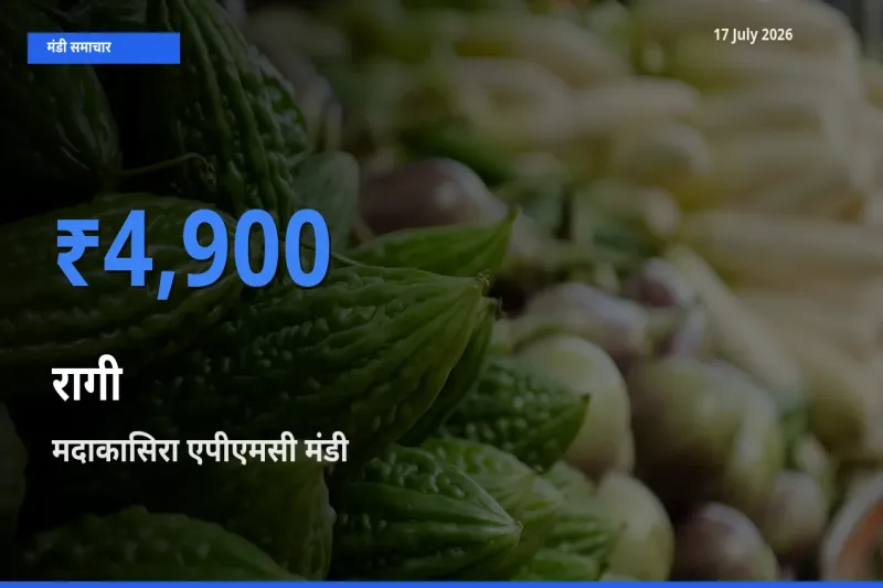 किसानों की पसंद बना मदाकासिरा एपीएमसी, रागी के सबसे अच्छे दाम