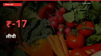 17.41% की गिरावट! मंडी में लीची के दाम अचानक टूटे