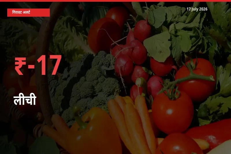 17.41% की गिरावट! मंडी में लीची के दाम अचानक टूटे