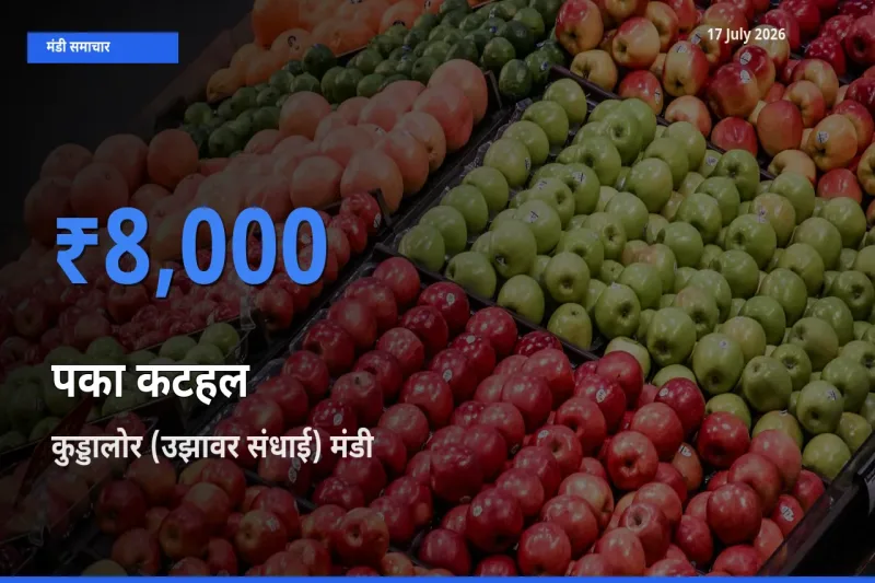 आज का मंडी भाव: पका कटहल के सबसे ज़्यादा दाम कुड्डालोर (उझावर संधाई) में