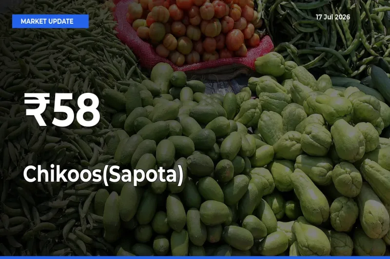 Chikoos(Sapota) Trend Strengthens Across Major Mandis