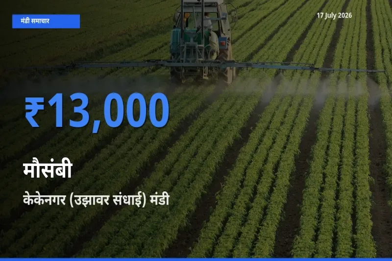 केकेनगर (उझावर संधाई) में मौसंबी का आज सबसे ऊँचा भाव