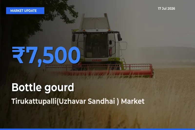 Tirukattupalli(Uzhavar Sandhai ) Tops Bottle gourd Rates – July 17 Market Update