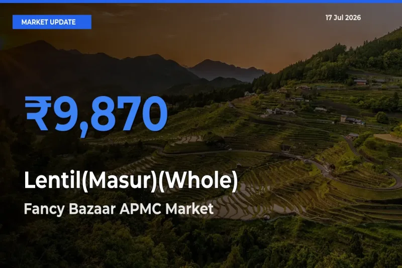 Fancy Bazaar APMC Leads as Top Mandi for Lentil(Masur)(Whole) Prices