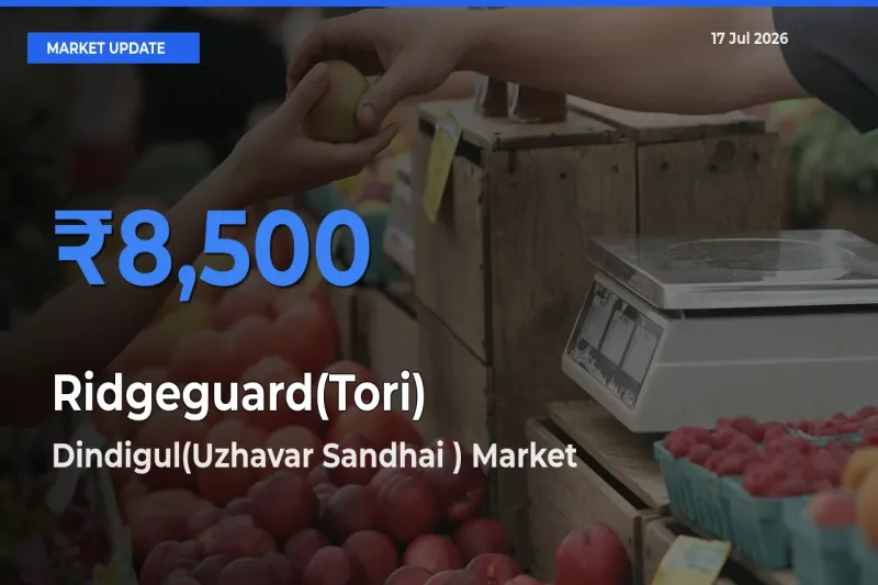 Market Watch: Dindigul(Uzhavar Sandhai ) Becomes Top Mandi for Ridgeguard(Tori)