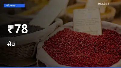 सेब के दामों का असर कई मंडियों में, बाज़ार दिशा स्पष्ट