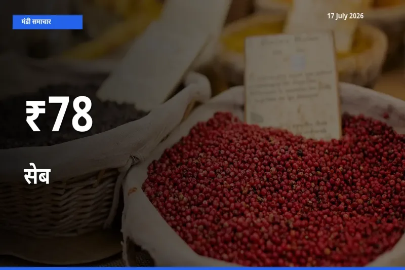सेब के दामों का असर कई मंडियों में, बाज़ार दिशा स्पष्ट