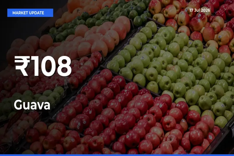 Guava Trend Strengthens Across Major Mandis