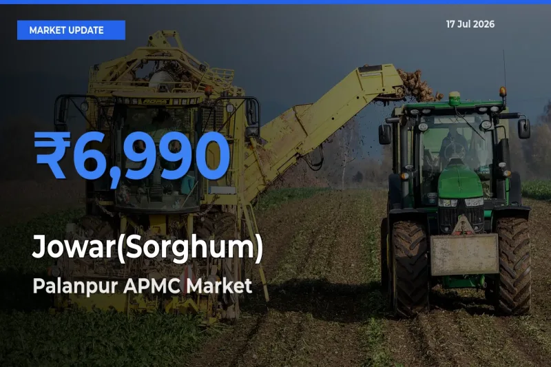 Palanpur APMC Tops Jowar(Sorghum) Mandi Rates Today