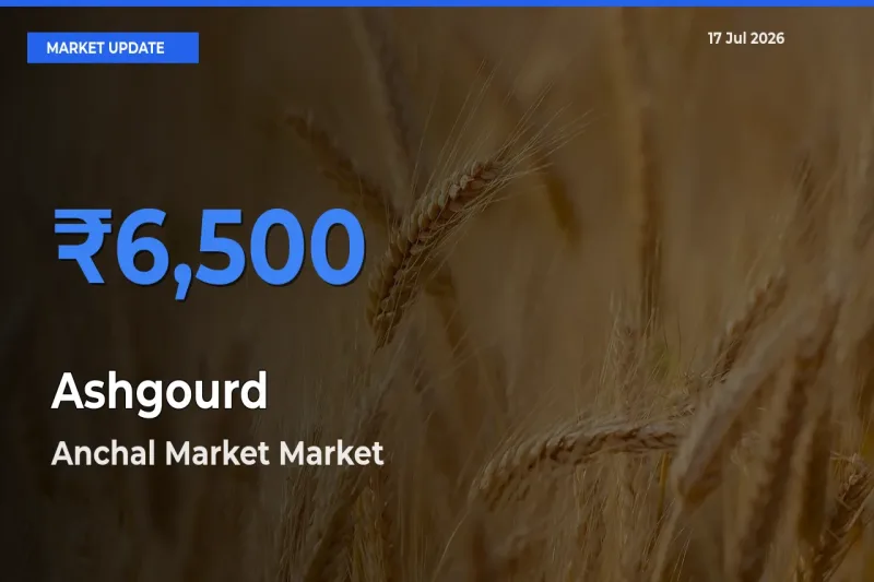 Market Watch: Anchal Market Becomes Top Mandi for Ashgourd