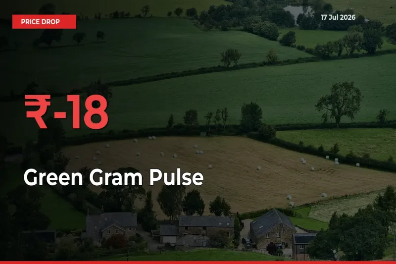 Green Gram Pulse Prices Drop 18.03% – July 17 Market Update from Mandis