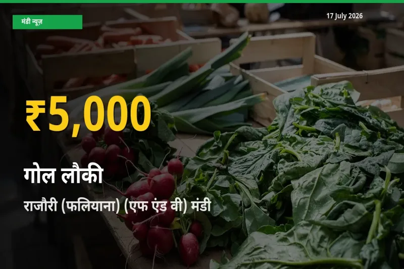 30 दिनों में सबसे ऊँचे स्तर पर गोल लौकी के दाम, राजौरी (फलियाना) (एफ एंड वी) में उछाल