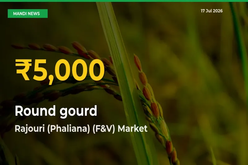 Round gourd Prices Soar to Record High in Rajouri (Phaliana) (F&V) – Farmers Alert Today