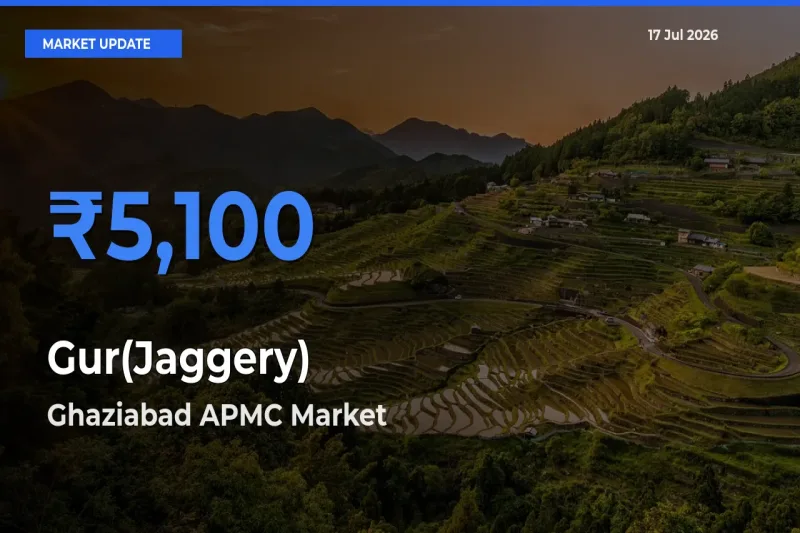 Ghaziabad APMC Records Highest ₹5,100 Rate for Gur(Jaggery)