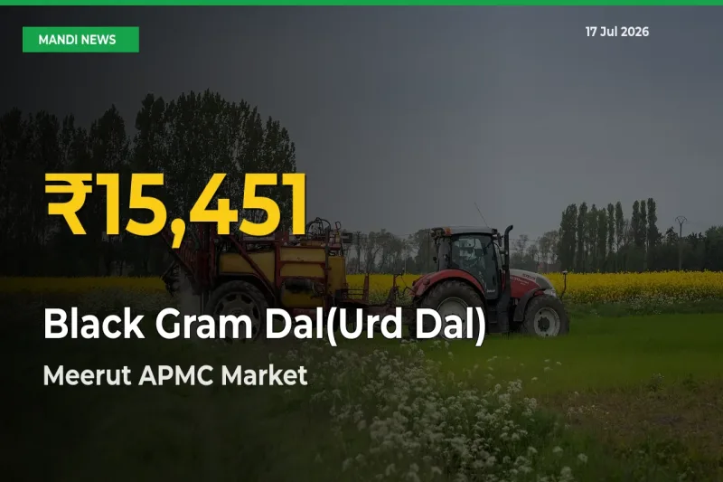 Black Gram Dal(Urd Dal) Prices Soar to Record High in Meerut APMC – Farmers Alert Today
