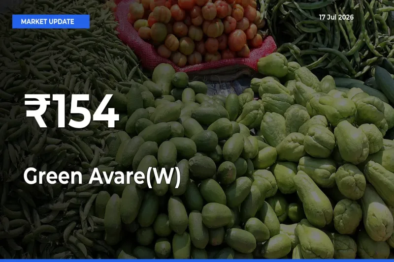 Green Avare(W) Mandi Prices Move in Sync Across Major Markets Today