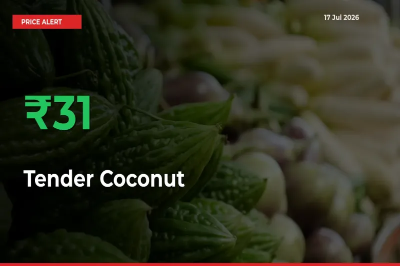 Big Rally! Tender Coconut Climbs 31.03% in 24 Hours at Top Mandis