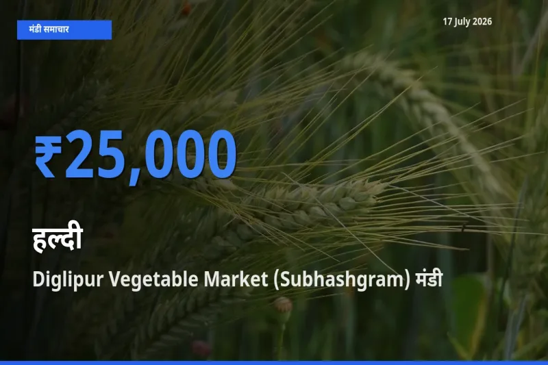 17 July अपडेट: हल्दी के सबसे ऊँचे दाम Diglipur Vegetable Market (Subhashgram) मंडी में