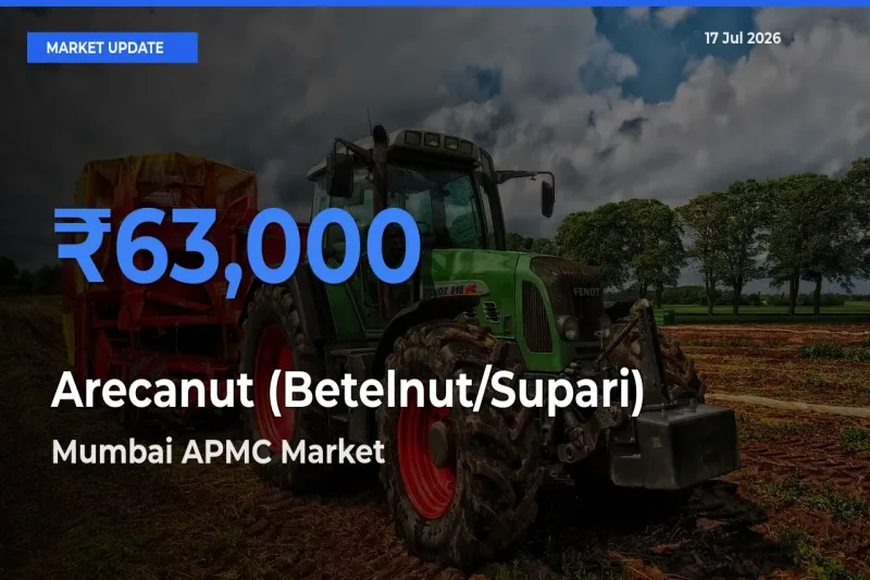 Arecanut (Betelnut/Supari) Mandi Rate Today: Mumbai APMC Tops the List