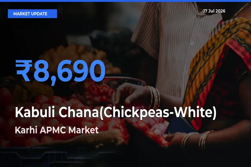 Karhi APMC Emerges as Top Mandi for Kabuli Chana(Chickpeas-White) Prices Today