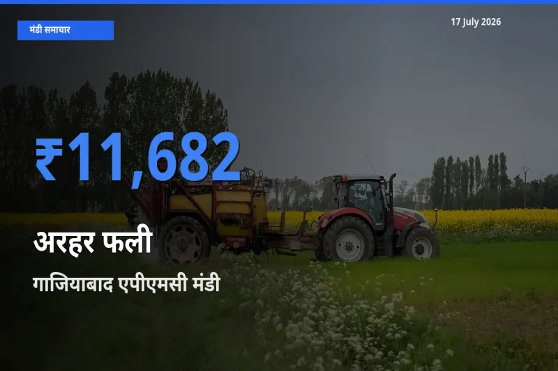 आज अरहर फली के सबसे ज़्यादा दाम गाजियाबाद एपीएमसी मंडी में दर्ज
