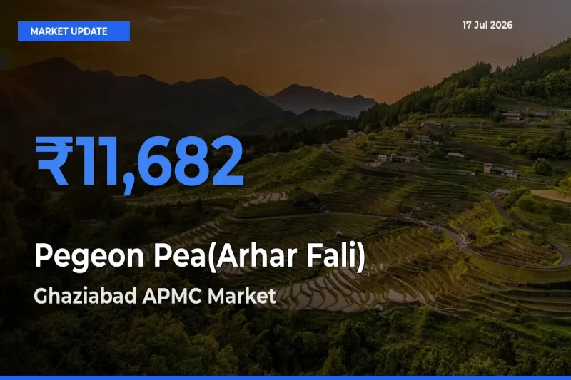 Ghaziabad APMC Emerges as Top Mandi for Pegeon Pea(Arhar Fali) Prices Today