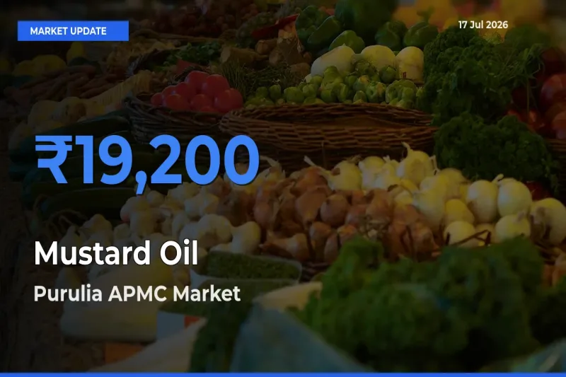 Farmers Prefer Purulia APMC as Mustard Oil Hits Highest Rate