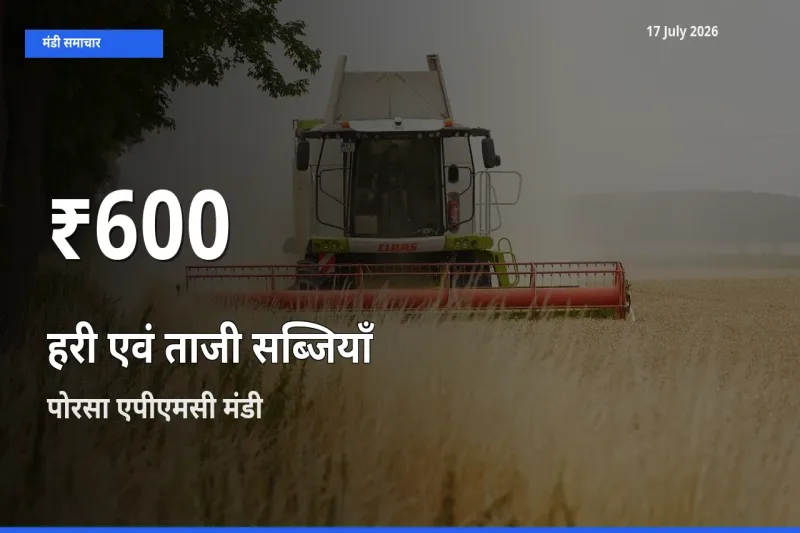 17 July अपडेट: हरी एवं ताजी सब्जियाँ के दाम 30 दिन के न्यूनतम स्तर पर, पोरसा एपीएमसी