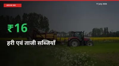17 July अपडेट: हरी एवं ताजी सब्जियाँ के दाम मंडी में 15.79% उछले