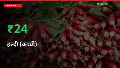 17 July अपडेट: हल्दी (कच्ची) के दाम मंडी में 23.8% उछले