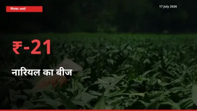 आज का मंडी भाव: नारियल का बीज के दाम मंडी में 21.14% नीचे