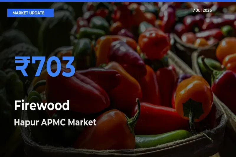 Hapur APMC Emerges as Top Mandi for Firewood Prices Today