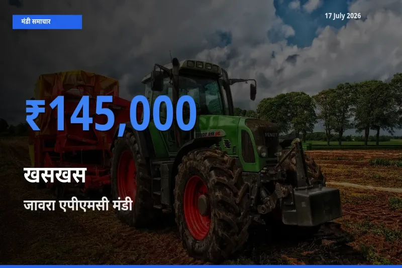 टॉप मंडी बना जावरा एपीएमसी! खसखस के सबसे ऊँचे दाम यहीं दर्ज