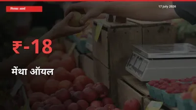 तेज़ गिरावट! मंडी में मेंथा ऑयल के दाम 18.24% लुढ़के