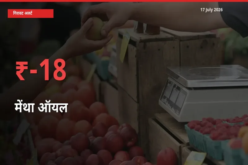 तेज़ गिरावट! मंडी में मेंथा ऑयल के दाम 18.24% लुढ़के
