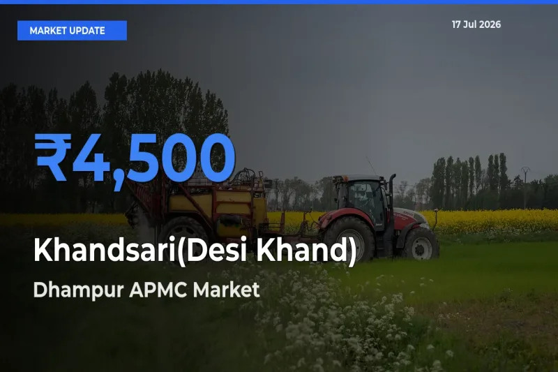 Dhampur APMC Tops Khandsari(Desi Khand) Rates – July 17 Market Update