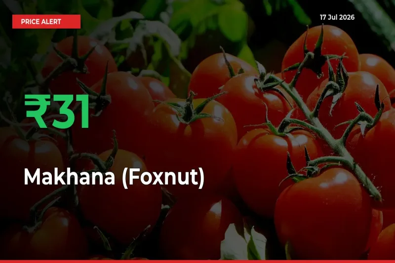 Makhana (Foxnut) Rises 31.28% at Mandis
