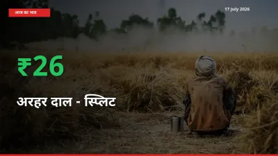 आज का मंडी भाव: अरहर दाल - स्प्लिट के दाम मंडी में 25.61% ऊपर