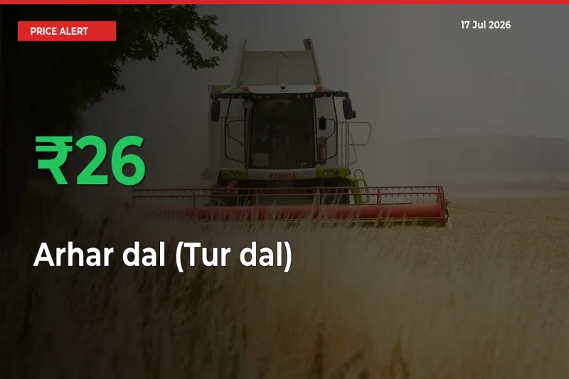 Arhar dal (Tur dal) Rises 25.61% at Mandis