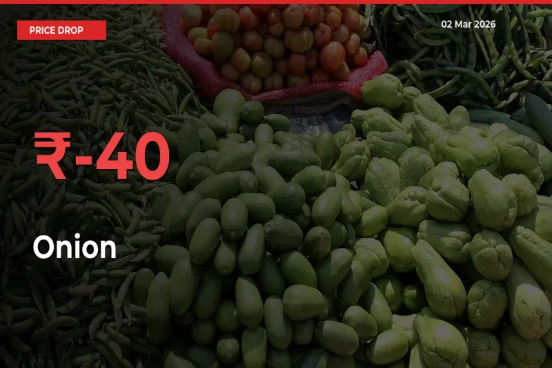 Sudden Shock! Onion Drops 40.02% in 24 Hours at Top Mandis