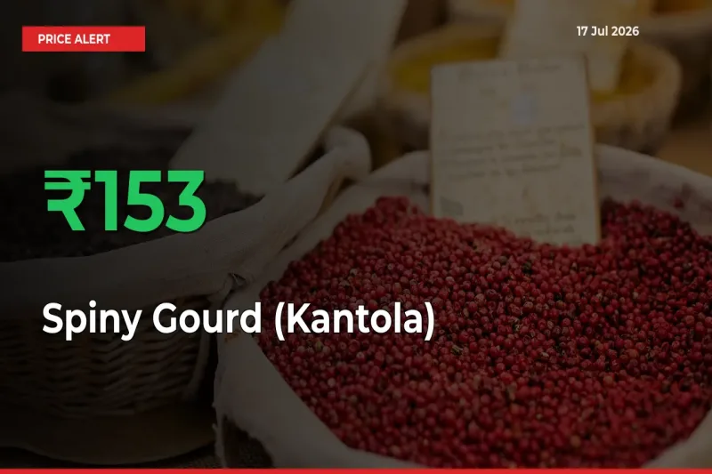 This Mandi Records 152.98% Jump in Spiny Gourd (Kantola) Prices