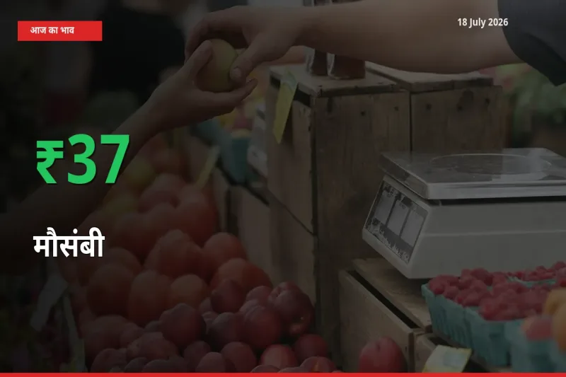 आज का मंडी भाव: मौसंबी के दाम मंडी में 36.62% ऊपर