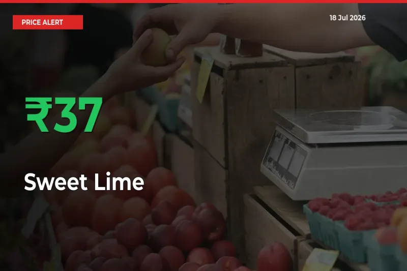 Sweet Lime Rises 36.62% at Mandis