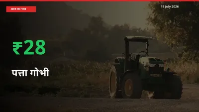 किसानों के लिए खुशखबरी! स्थानीय मंडी में पत्ता गोभी 27.77% उछला
